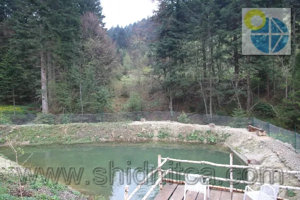 Східниця Вілла Замковий міст.