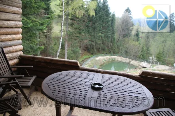 Східниця Вілла Замковий міст.