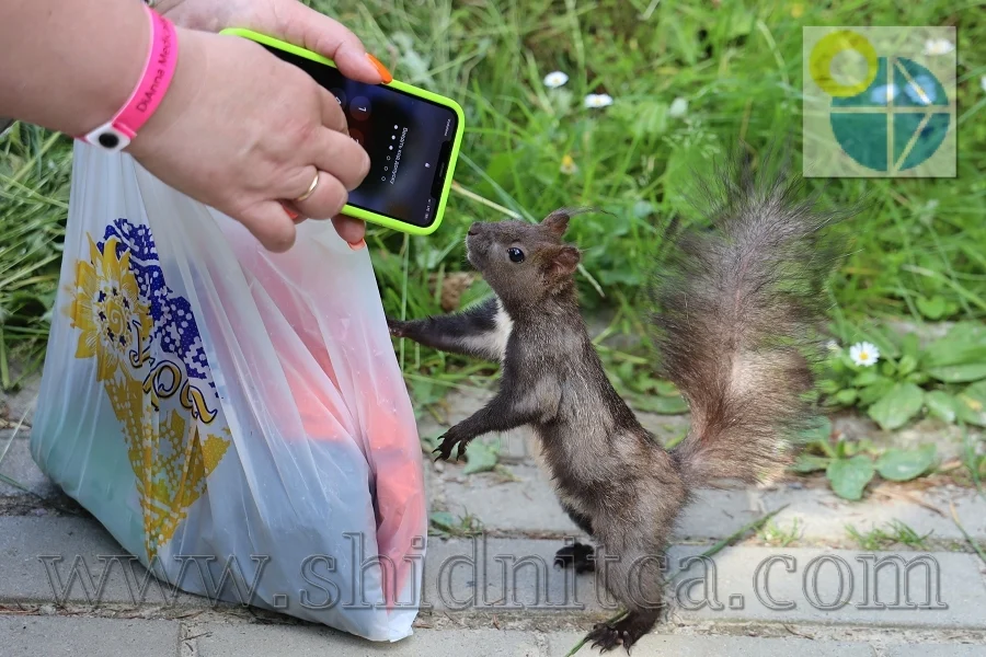 Фото.Східниця.