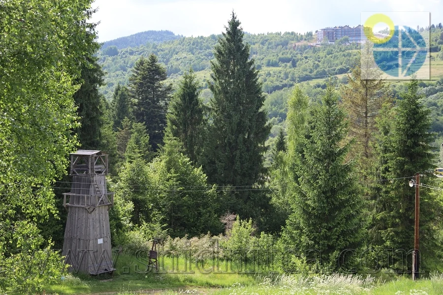 Східниця Парк Пантелеймона Цілителя