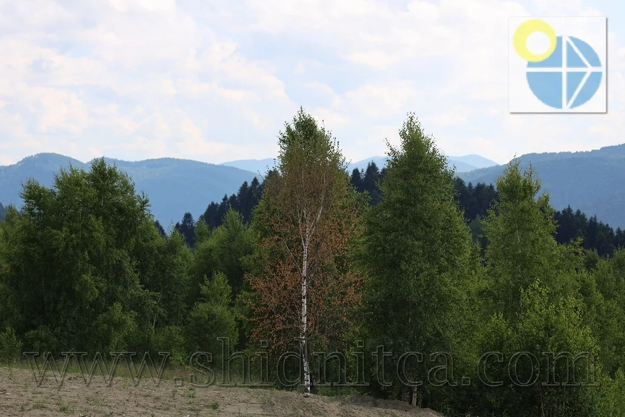 Східниця фото краєвидів